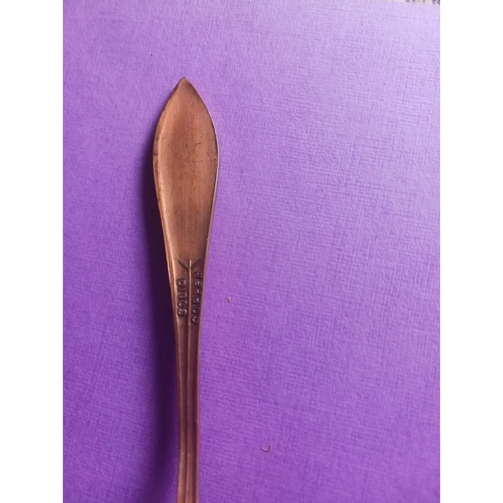 Vintage Michigan Souvenir Spoon Solid Copper E Pluribus Unum